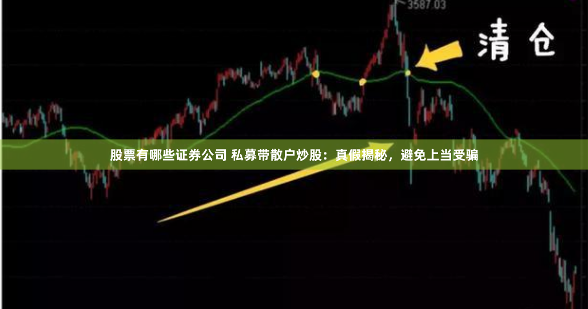 股票有哪些证券公司 私募带散户炒股：真假揭秘，避免上当受骗
