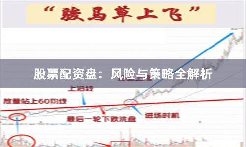 股票配资盘：风险与策略全解析