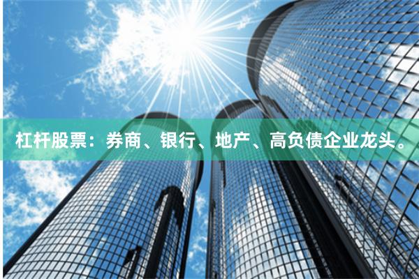 杠杆股票：券商、银行、地产、高负债企业龙头。